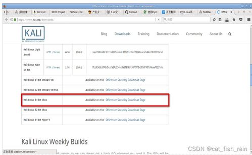 網絡攻擊與防御 安全滲透測試在軟件開發中的關鍵作用