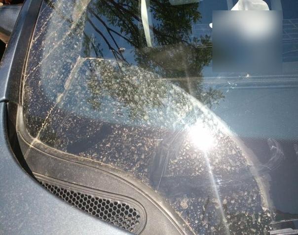 用玻璃水洗車會傷車漆嗎